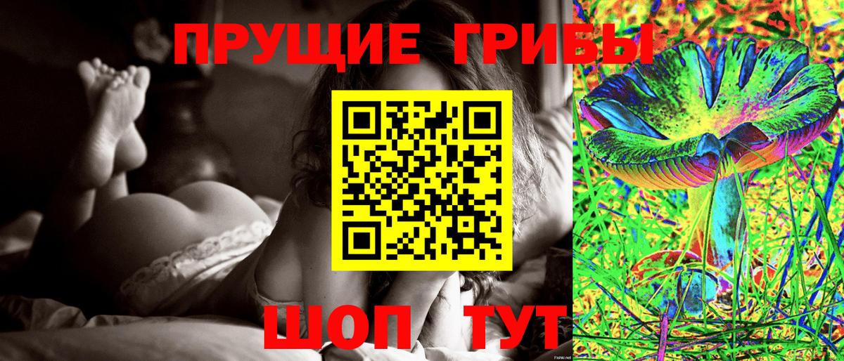 Псилоцибиновые грибы Psilocybine cubensis Ефремов